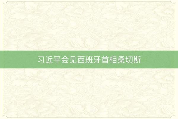 习近平会见西班牙首相桑切斯