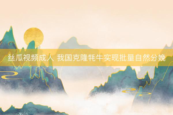 丝瓜视频成人 我国克隆牦牛实现批量自然分娩