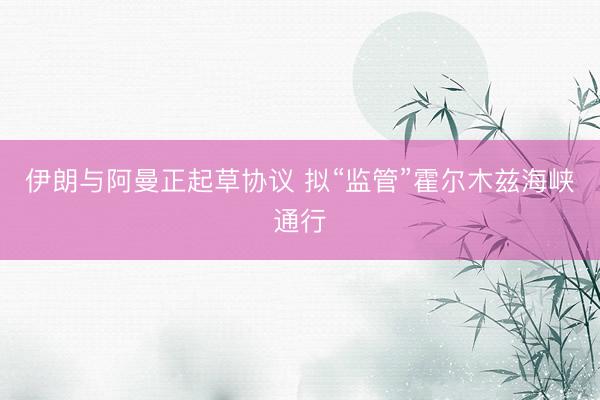 伊朗与阿曼正起草协议 拟“监管”霍尔木兹海峡通行