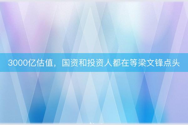 3000亿估值，国资和投资人都在等梁文锋点头