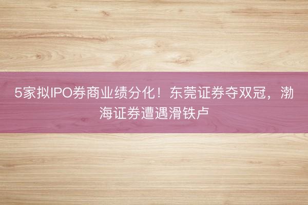 5家拟IPO券商业绩分化！东莞证券夺双冠，渤海证券遭遇滑铁卢