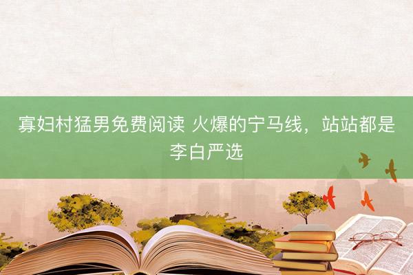 寡妇村猛男免费阅读 火爆的宁马线，站站都是李白严选