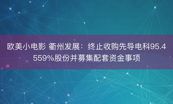 欧美小电影 衢州发展：终止收购先导电科95.4559%股份并募集配套资金事项