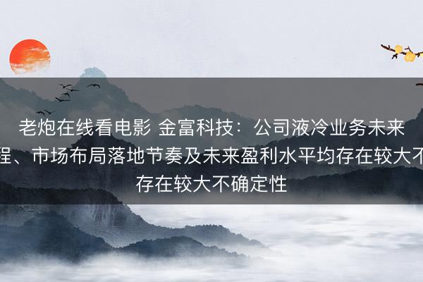 老炮在线看电影 金富科技：公司液冷业务未来拓展进程、市场布局落地节奏及未来盈利水平均存在较大不确定性