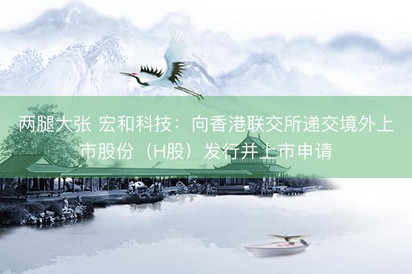 两腿大张 宏和科技：向香港联交所递交境外上市股份（H股）发行并上市申请