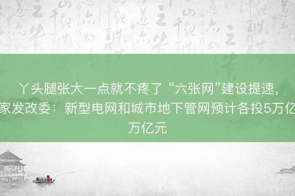 丫头腿张大一点就不疼了 “六张网”建设提速，国家发改委：新型电网和城市地下管网预计各投5万亿元