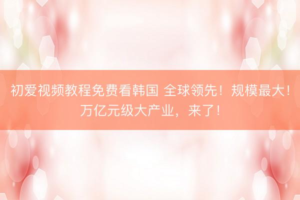 初爱视频教程免费看韩国 全球领先！规模最大！万亿元级大产业，来了！