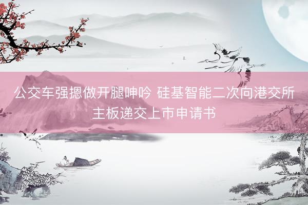 公交车强摁做开腿呻吟 硅基智能二次向港交所主板递交上市申请书