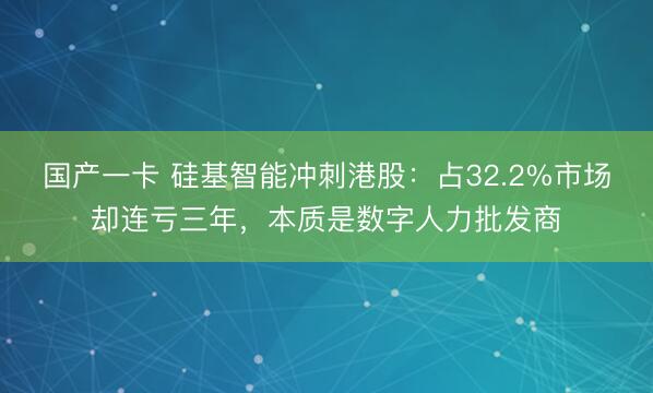 国产一卡 硅基智能冲刺港股：占32.2%市场却连亏三年，本质是数字人力批发商