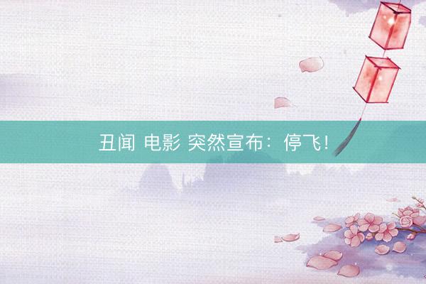 丑闻 电影 突然宣布：停飞！