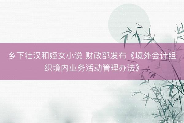 乡下壮汉和姪女小说 财政部发布《境外会计组织境内业务活动管理办法》