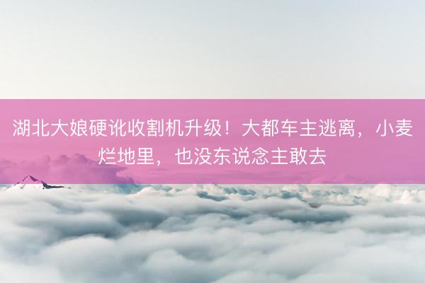 湖北大娘硬讹收割机升级！大都车主逃离，小麦烂地里，也没东说念主敢去