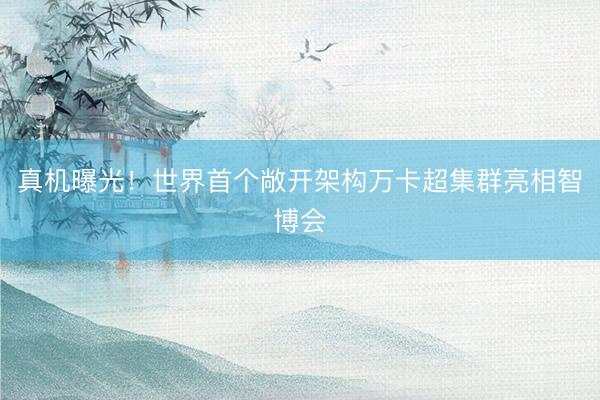 真机曝光！世界首个敞开架构万卡超集群亮相智博会