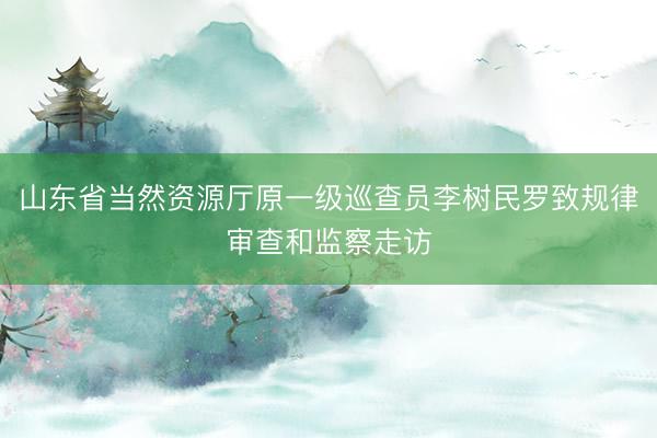 山东省当然资源厅原一级巡查员李树民罗致规律审查和监察走访