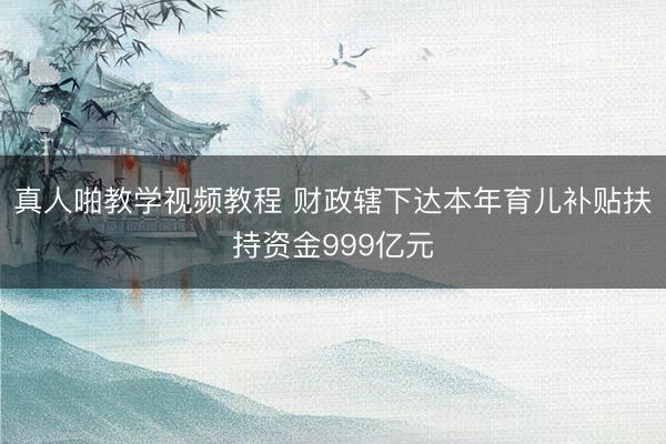 真人啪教学视频教程 财政辖下达本年育儿补贴扶持资金999亿元