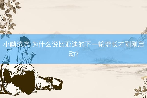 小呦泬泬 为什么说比亚迪的下一轮增长才刚刚启动？