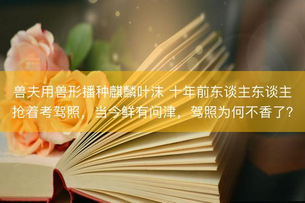 兽夫用兽形播种麒麟叶沫 十年前东谈主东谈主抢着考驾照，当今鲜有问津，驾照为何不香了？