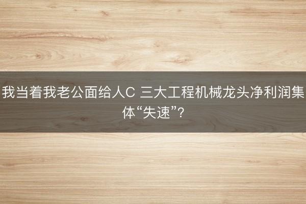 我当着我老公面给人C 三大工程机械龙头净利润集体“失速”？