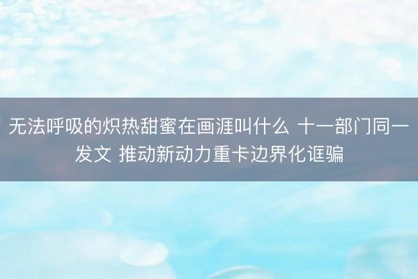 无法呼吸的炽热甜蜜在画涯叫什么 十一部门同一发文 推动新动力重卡边界化诓骗