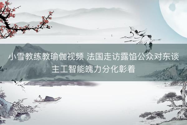 小雪教练教瑜伽视频 法国走访露馅公众对东谈主工智能魄力分化彰着