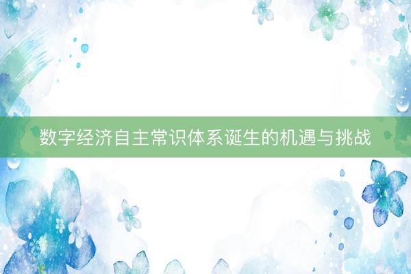 数字经济自主常识体系诞生的机遇与挑战
