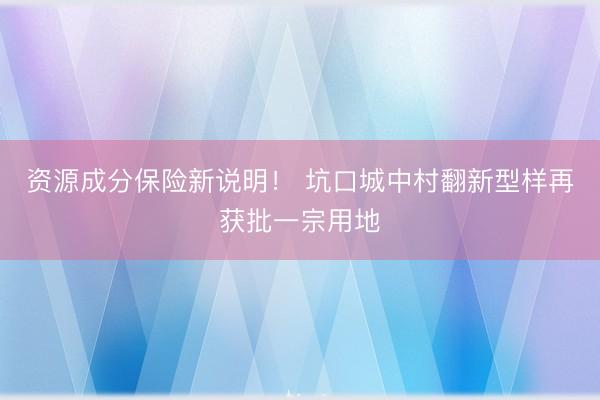 资源成分保险新说明！ 坑口城中村翻新型样再获批一宗用地