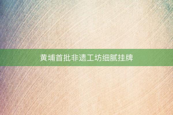 黄埔首批非遗工坊细腻挂牌
