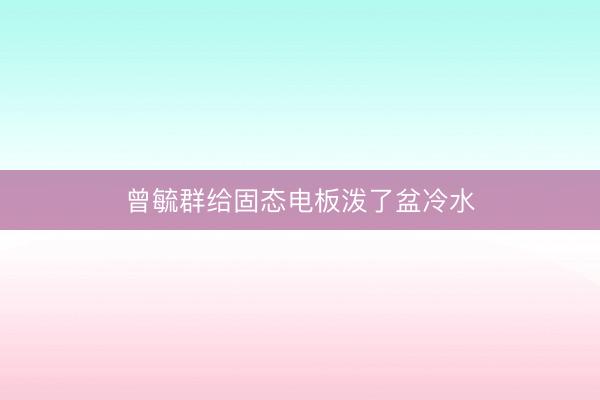 曾毓群给固态电板泼了盆冷水